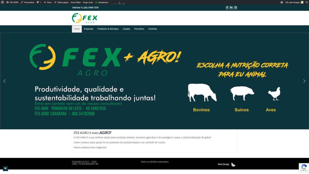 Criação de site da FEXAGRO