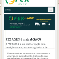 Criação de site da FEXAGRO