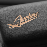 Identidade visual da Avolare Aeronaves criada pela Lemon Pepper Design — imagem 9