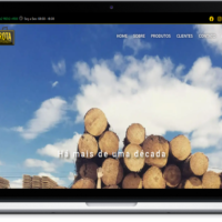 Site da Rota Representações criado pela Lemon Pepper Design — imagem 4