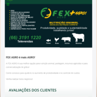 Redesign do site institucional da FEXAGRO pela Lemon Pepper Design — imagem 5