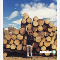 Site da Rota Representações criado pela Lemon Pepper Design — imagem 5